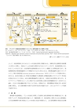 鼻アレルギ-診療ガイドライン 通年性鼻炎と花粉症 ２００９年版 /ライフ・サイエンス/鼻アレルギ-診療ガイドライン作成委員会（単行本） 鼻アレルギー診療ガイドライン 2024年版 | 日本耳鼻咽喉科免疫
